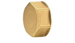 [22508] TAPA CONEXIÓN HEMBRA PARA COLECTORES 3/4" R594Y005 GIACOMINI