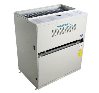 [25635] CALEFACTOR A GAS CG-050 GAC1ANS 50.000KCAL 220v